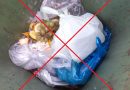 Folie und Plastik gehören nicht in die Biotonnen